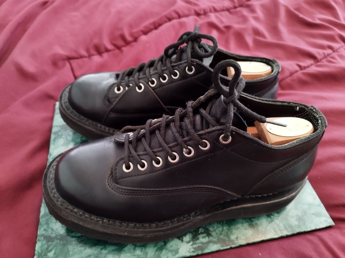 Nepenthes x White's Pole Climber Oxford Japan Exclusive US Nepenthes x White's Pole Climber Oxford Japan Exclusive US