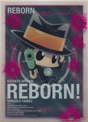 Reborn! Ichiban Kuji V+ Ver.1.5 A5 Mini Clear File SP Sparkly Version Japan