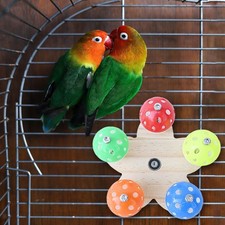 Parrot Toy Bird Nibbling Cage Bite for Parrots Bird Easy to Install Bird Toy