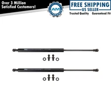 Hood Lift Support Shock Strut Set Fits 2005-2008 Acura RL