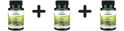 3 x Swanson Holy Basil Extract, 400mg - 60 vcaps (194,39 EUR/kg)
