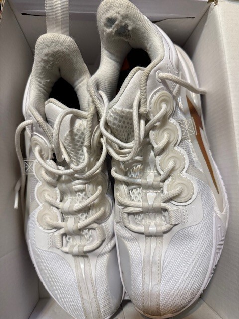 Li-Ning Wade Son of Flash 'White Hot' ABPT019-6 In Stock; 8.5