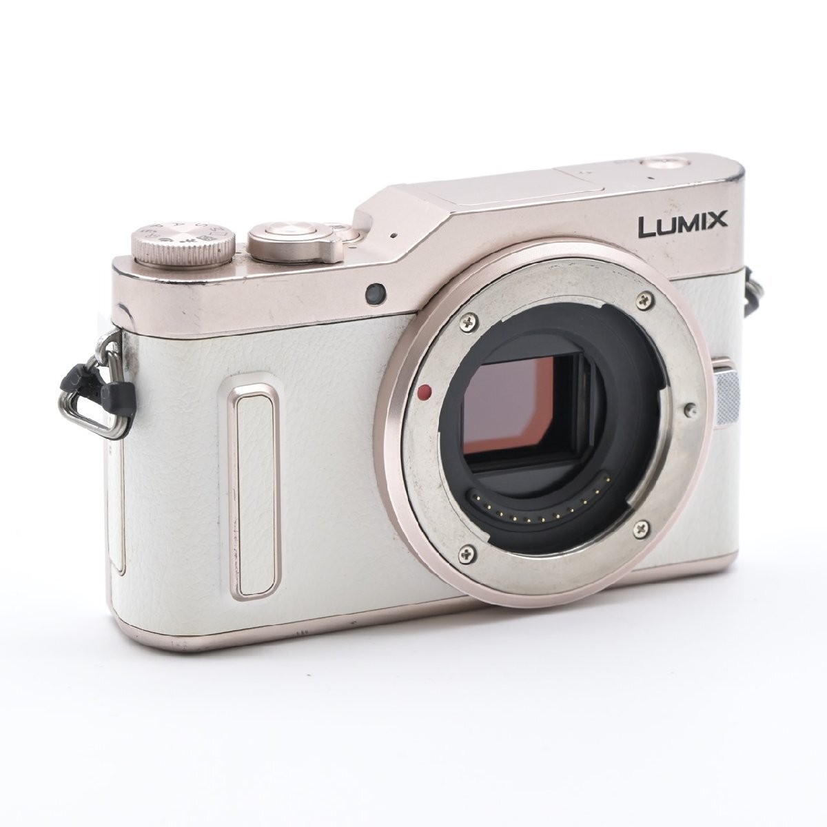 Panasonic mirrorless single-lens Lumix GF10 double lens kit