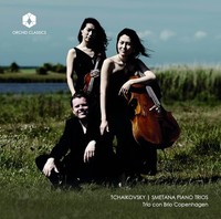 Pyotr Ilyich Tchaiko - Tchaikovsky/Semtana Piano Trios - Cd - G3Z
