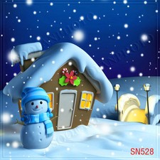 Winter 10'x10' Computer-painted Scenic Photo Background Backdrop SN528B881