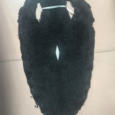 1 Piece Thailand Black Real Stingray Skin Shagreen Ray Fish Leather 10-17 inch