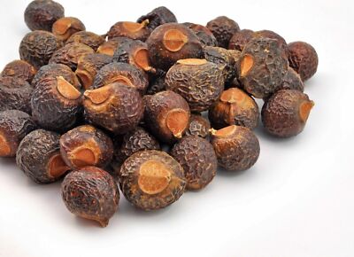 ARITHA REETHA SOAPNUTS SAPINDUS MUKOROSSI RITHA- Ayurveda Herbal Free Ship-2kg