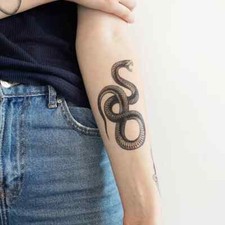 Temporary Tattoo - Serpent - Blackwork Serpent Tattoo approx. 4.8"