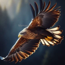 Digital Image Picture Photo Wallpaper Background Desktop Art AI Pic Flying Eagle