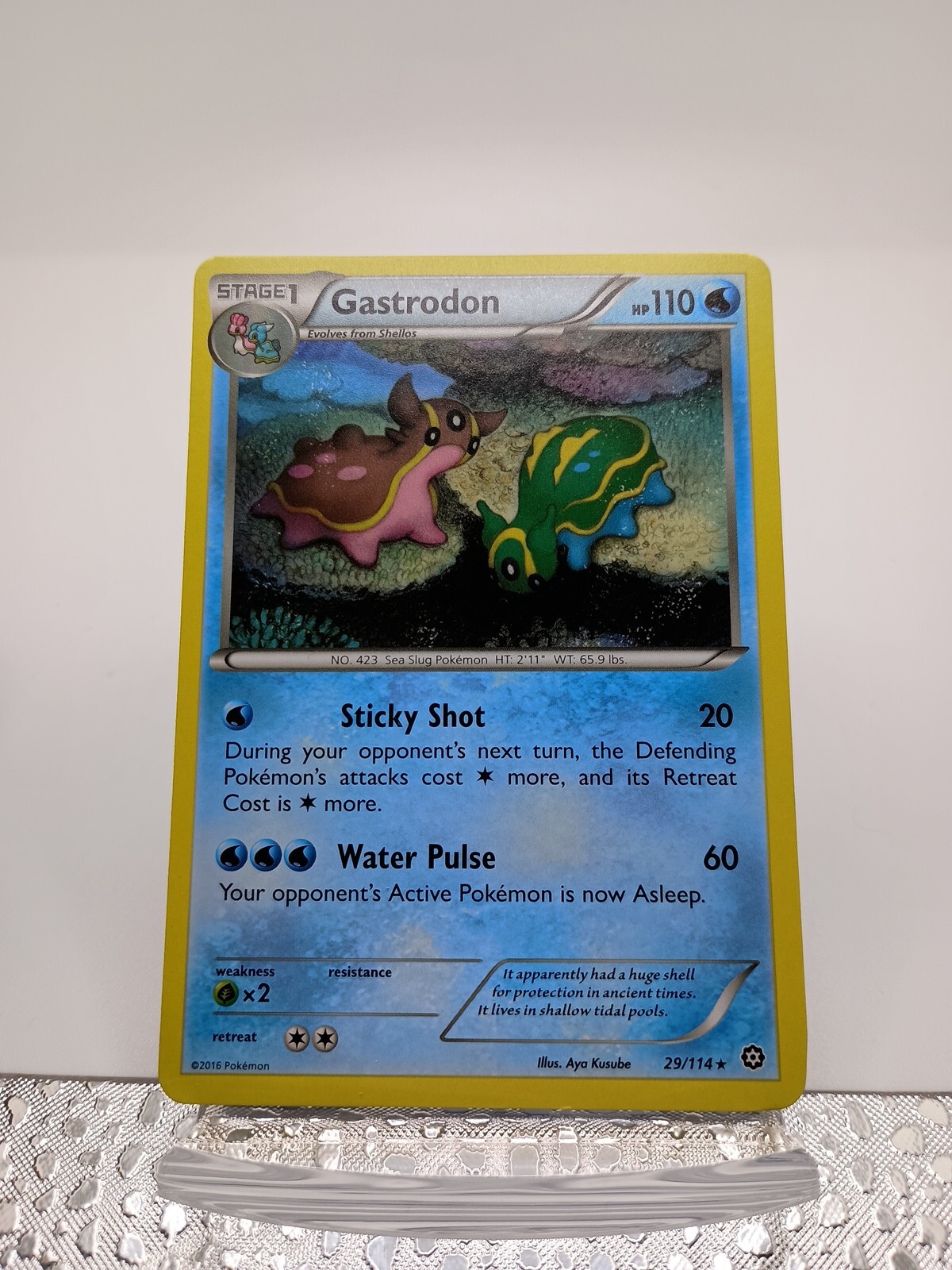 Pokemon GASTRODON 29/114 - XY Steam Siege - RARE - MINT