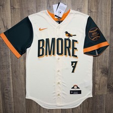 Jackson Holliday Baltimore Orioles Nike Authentic 2026 City Connect Jersey Men S