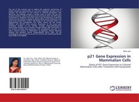 P21 Gene Expression In Mammalian Cells Neha Jain