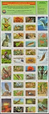 1991 NWF Full Pane of 36 Seals *America's Conservation Stamps* MNH