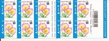 Belgium - Booklet - 2008 - COB B99** - SCOTT 2348a - Tulipa Bakeri - MNH -