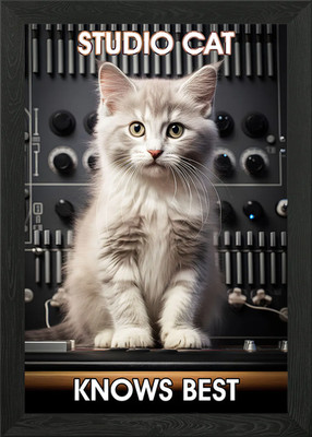 Studio Cat knows best gerahmtes Wandbild Poster Leinwanddruck Bild