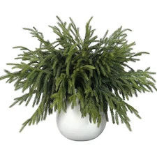16 Pcs Real Touch Norfolk Pine Branch -18" Artificial Christmas Green Plants ...