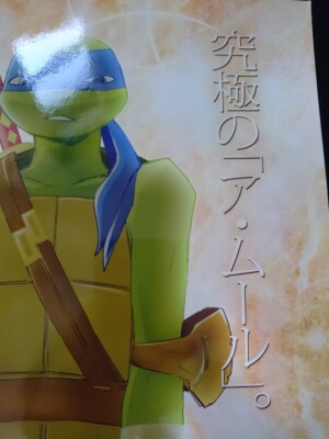 Teenage Mutant Ninja Turtles doujinshi L x D (B5 34pages) TMNT