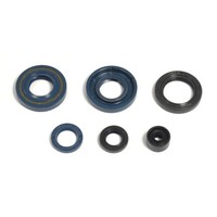 Serie Parolio Motor Kawasaki KX60 85-03 / Suzuki RM60 03 FüR Suzuki RM 60 03 2T
