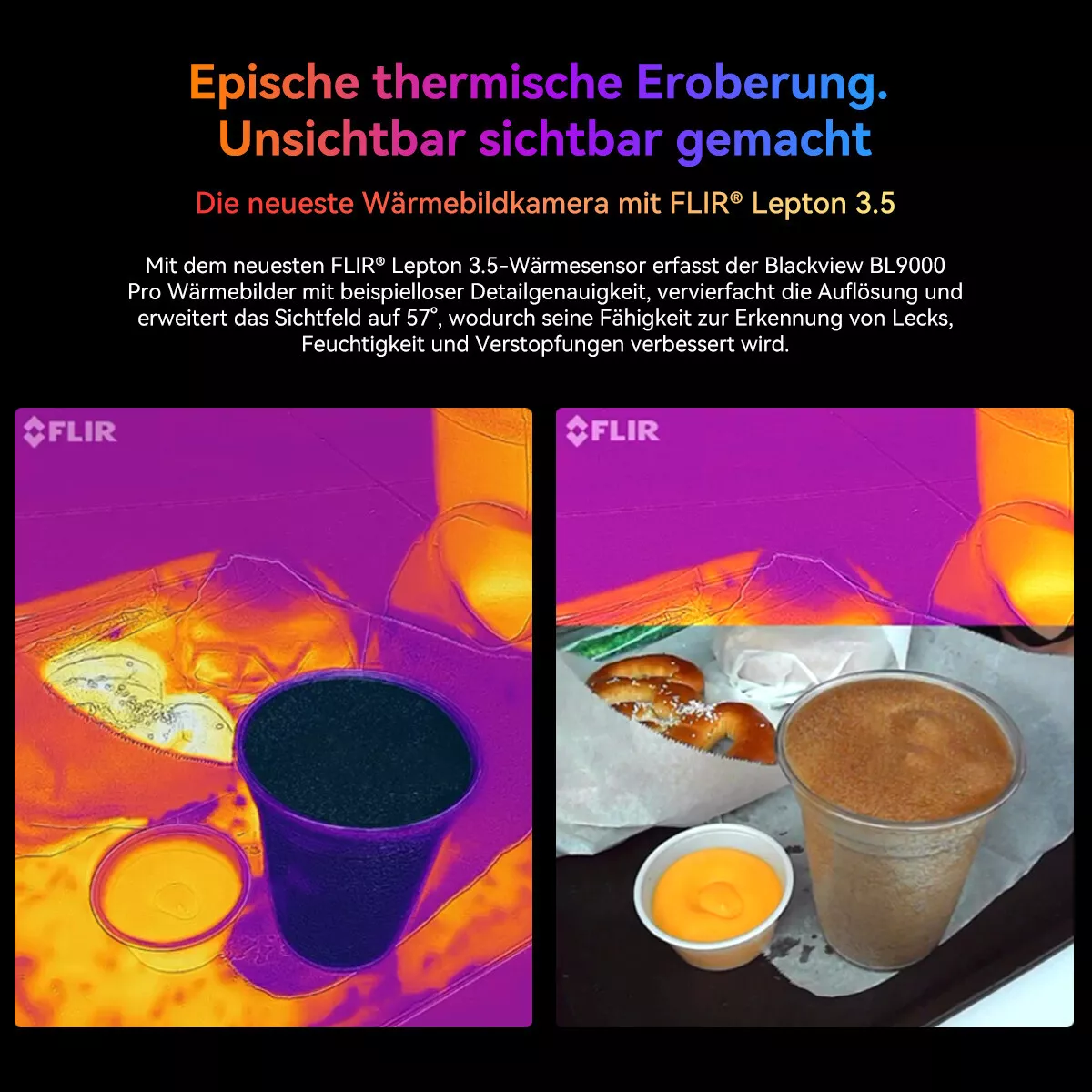 Bild 10 von 14