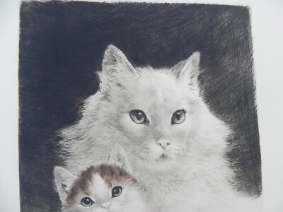 Kurt Meyer-Eberhardt 1895-1977 PAIR cat etchings noted animalier