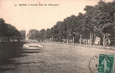 POSTCARD - REIMS - MARNE - 51 - GRANDE ALLEE DES MARONNIERS