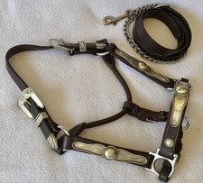 Very Nice QUALITY Silver Show Halter &Lead~YE...
