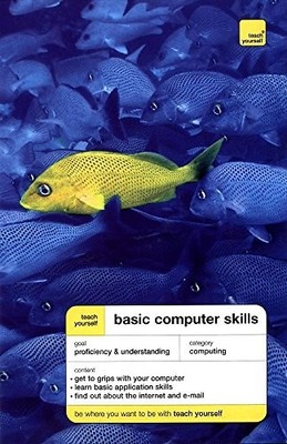 Teach Yourself Basic Computer Skills (TY Computing) by Stephen, Moira 0340816538