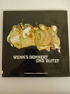 Wenn´s blitzt und donnert - Kleine Gewitterfibel für den Alltagsgebrauch. Kleppe