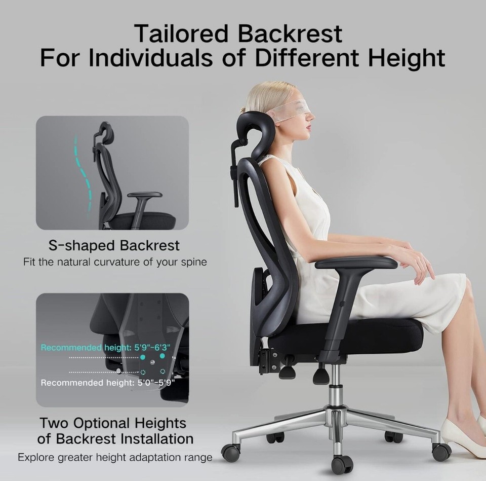 Hbada Ergonomics Office Chair Adjustable Headrests and Lumbar Support