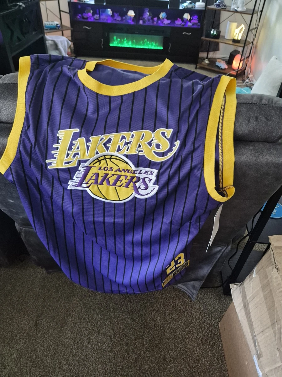 Preços baixos em Camisas da NBA Lebron James Roxo | eBay