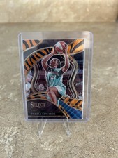 TERESA EDWARDS 2024 Panini Select WNBA COURTSIDE TIGER PRIZM 🐅