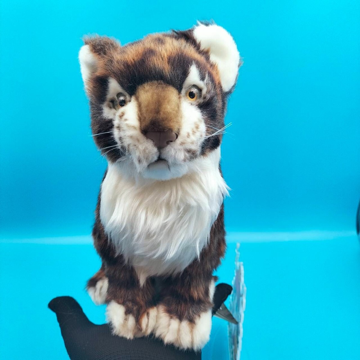 Portraits of Nature HANSA Puma pups 30 animals Plush 24 CM Stuffed