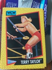 1991 WCW Wrestling Trading Card Terry Taylor #74
