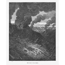 GUSTAVE DORE The Fire In The Forest (Atala) - Antique Print c1880