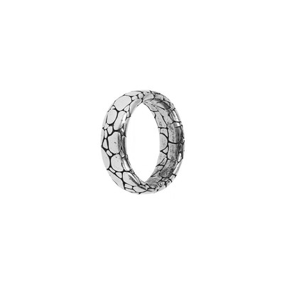 Damenring Albert M. WSOX00007.S-26 versilbert 26