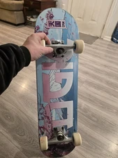 DGK skateboard Complete Deck 8.25 USED With New Ricta Wheels