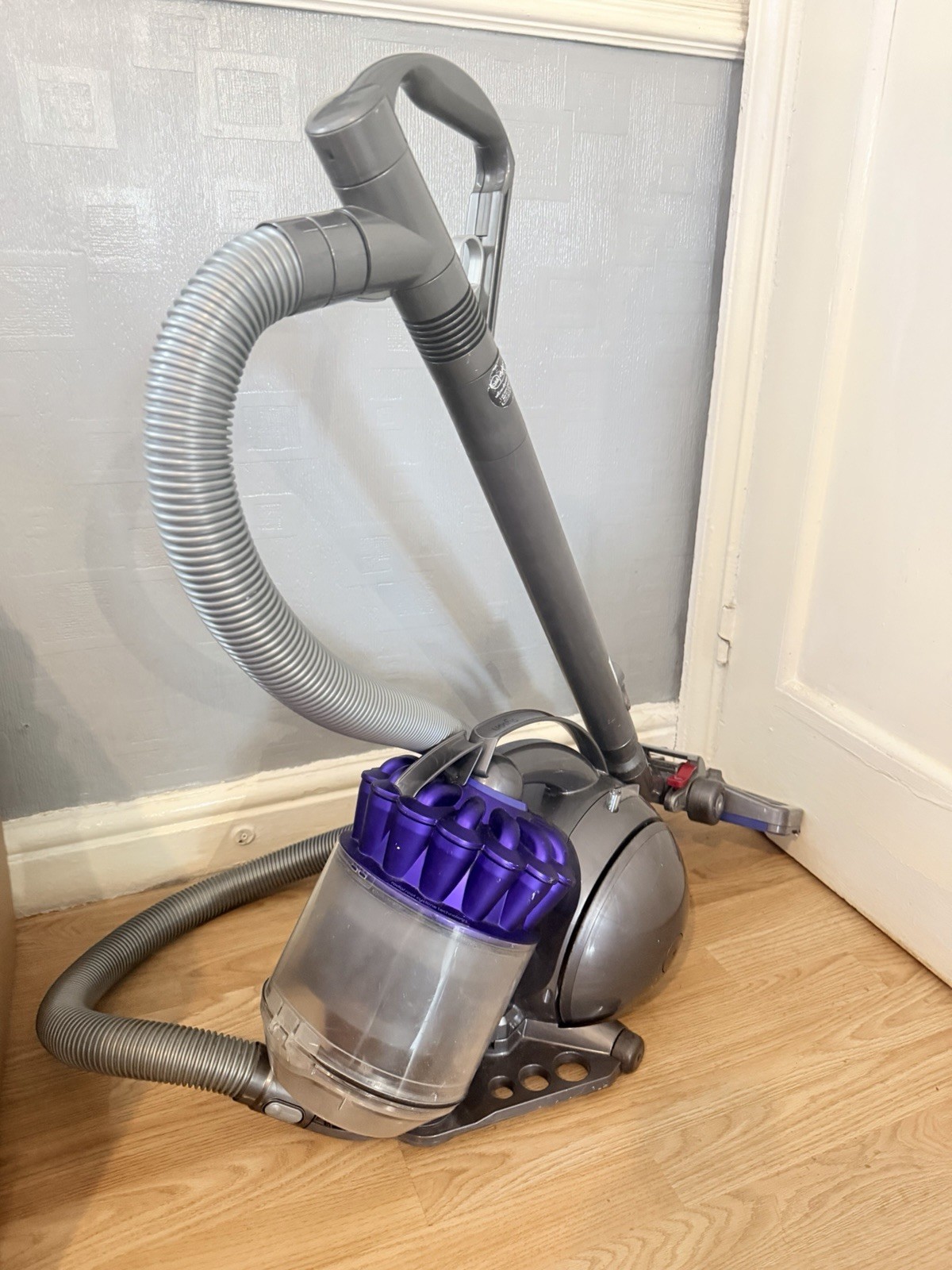 Dyson Cylinder Pull Along DC39 Animal Cylinder Vacuum Cleaner