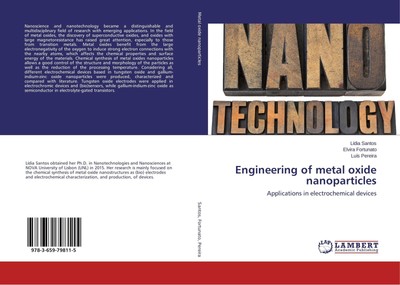 Engineering of metal oxide nanoparticles | Lídia Santos (u. a.) | Englisch