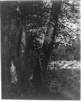Photo:The sycamores