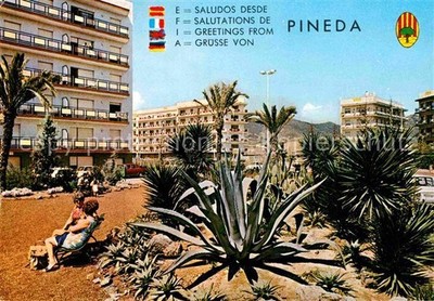 Pineda de Mar 