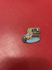 Disney Ride Pin