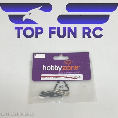 HOBBYZONE HBZ3045 SUSPENSION PIN BAG FOR MINI MAULER RC PART