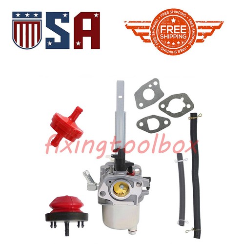 Carburador Huayi DV130 B 16 Ref 5911249062 Para Cortacésped Scheppach - Foto 11