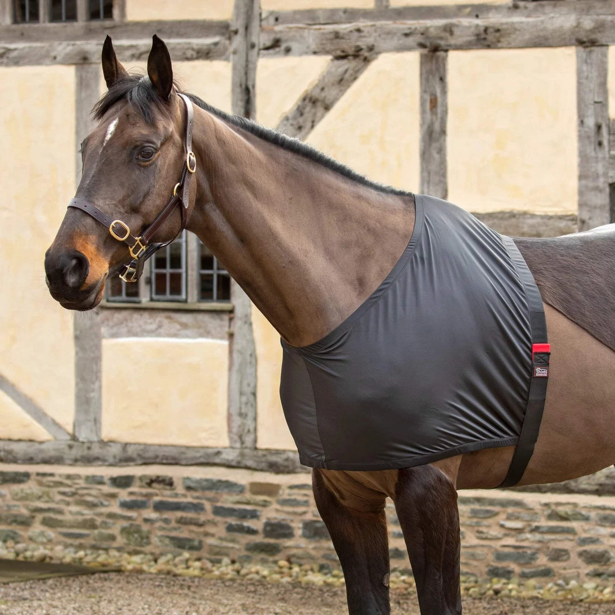 Coperte per cavalli | Mascheroni Selleria