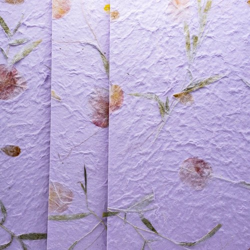 20x Mulberry Sheet Flowers of Pressed Purple Botanical Handmade Paper Book Craft - Bild 7 von 12