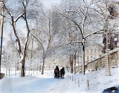 1920 Boston Common, Park Street. Horses pulling snow plow 14 x 11'' Photo Print