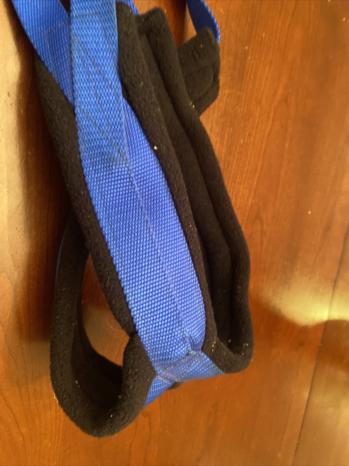 Black Ice Dog Sledding Blue Harness USA New Germany Minnesota eBay