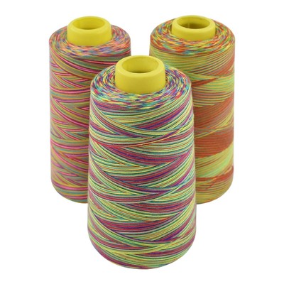 Rainbow Variegated Polyester Sewing Machine Thread All-Purpose Thread 3 Cones...