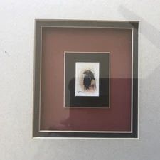 Chris Natachu Zuni Mini Art, 2 Each Framed And Matted