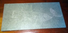 Vintage Original Sperm Whale Etched in Slate Panel 11 1/2